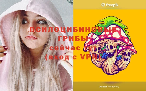 бошки Лагань