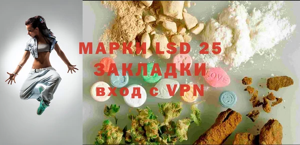 бошки Лагань