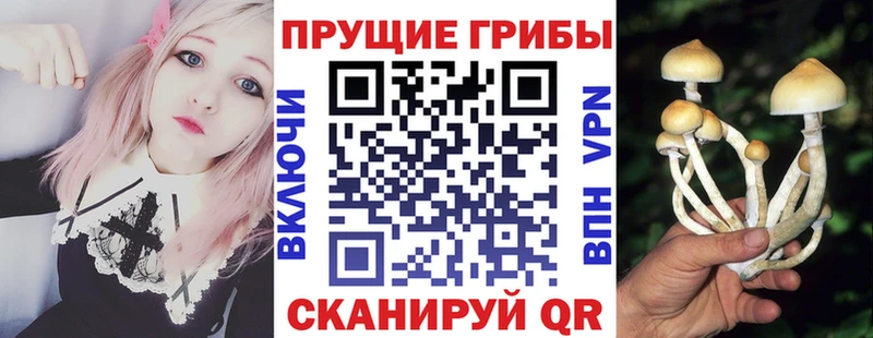 Галлюциногенные грибы Cubensis Староминская
